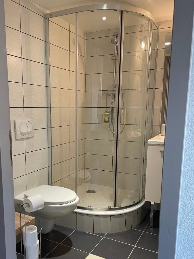 Studio Sous Les Toits Annecy Centre-Ville المظهر الخارجي الصورة