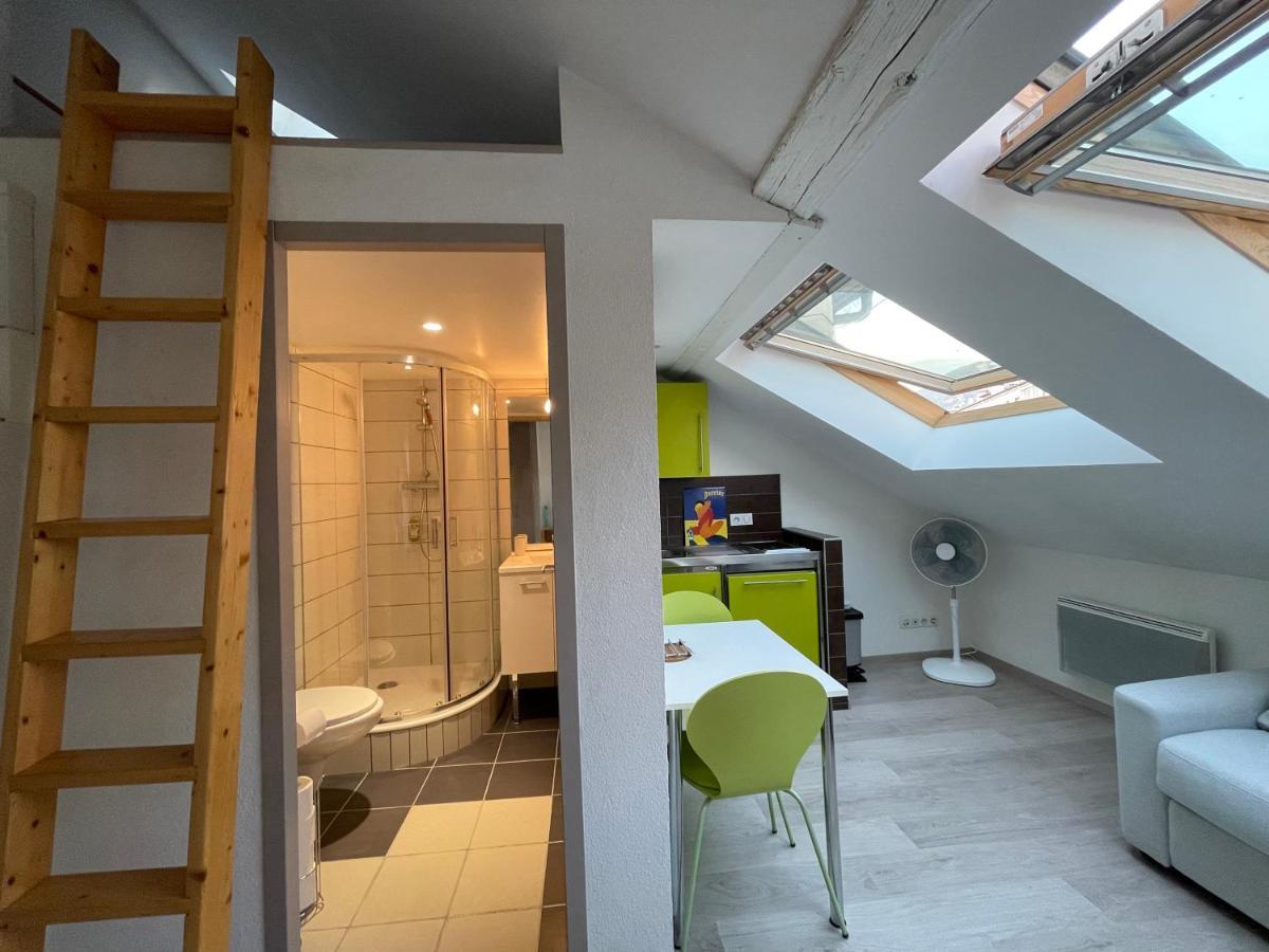 Studio Sous Les Toits Annecy Centre-Ville المظهر الخارجي الصورة